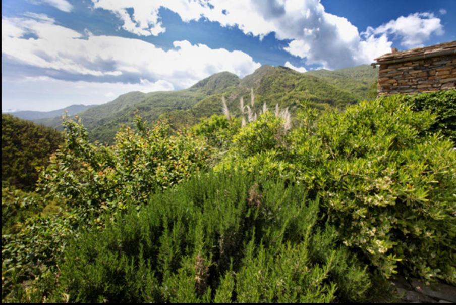 Casa Costa - Ruhe Und Natur Pur Carpasio Εξωτερικό φωτογραφία